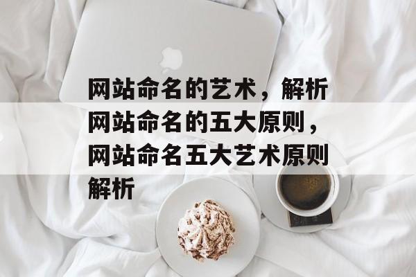 网站命名的艺术，解析网站命名的五大原则，网站命名五大艺术原则解析
