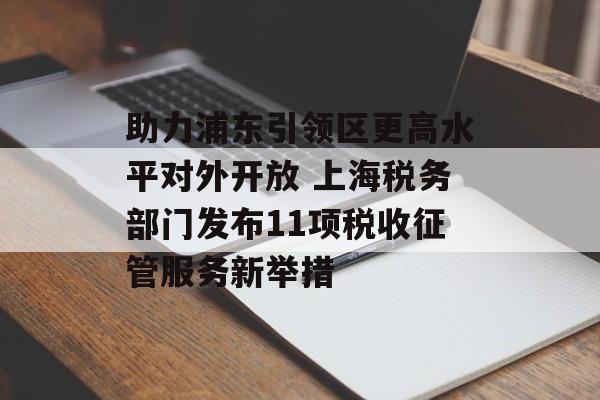 助力浦东引领区更高水平对外开放 上海税务部门发布11项税收征管服务新举措