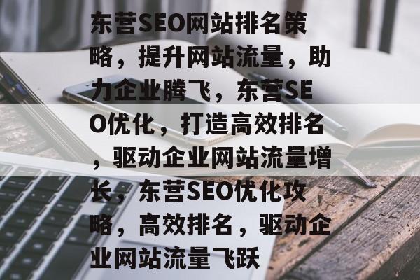 东营SEO网站排名策略，提升网站流量，助力企业腾飞，东营SEO优化，打造高效排名，驱动企业网站流量增长，东营SEO优化攻略，高效排名，驱动企业网站流量飞跃