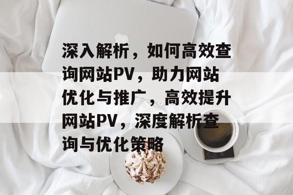 深入解析，如何高效查询网站PV，助力网站优化与推广，高效提升网站PV，深度解析查询与优化策略