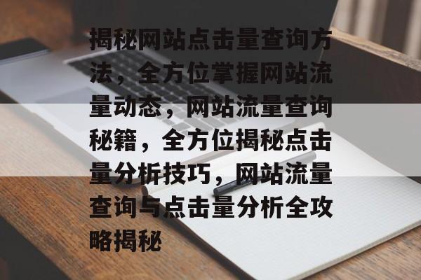 揭秘网站点击量查询方法，全方位掌握网站流量动态，网站流量查询秘籍，全方位揭秘点击量分析技巧，网站流量查询与点击量分析全攻略揭秘