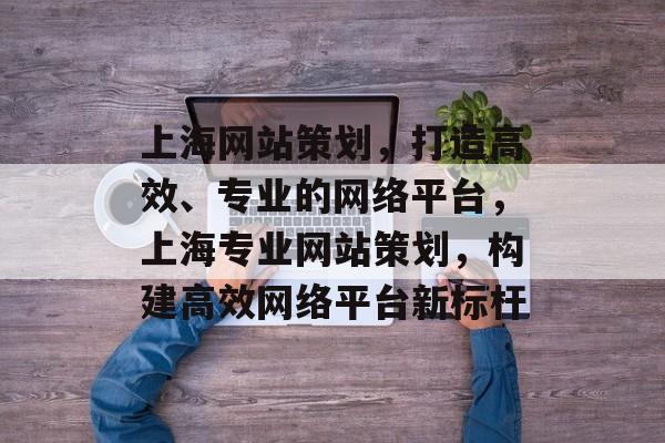 上海网站策划，打造高效、专业的网络平台，上海专业网站策划，构建高效网络平台新标杆