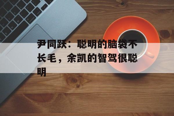尹同跃：聪明的脑袋不长毛，余凯的智驾很聪明