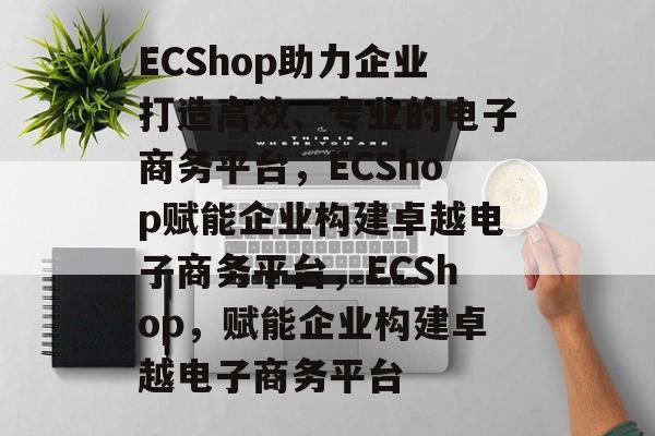 ECShop助力企业打造高效、专业的电子商务平台，ECShop赋能企业构建卓越电子商务平台，ECShop，赋能企业构建卓越电子商务平台