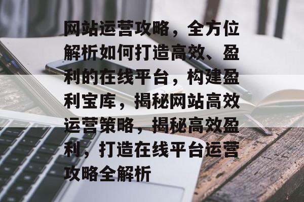 网站运营攻略，全方位解析如何打造高效、盈利的在线平台，构建盈利宝库，揭秘网站高效运营策略，揭秘高效盈利，打造在线平台运营攻略全解析