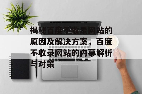 揭秘百度不收录网站的原因及解决方案，百度不收录网站的内幕解析与对策