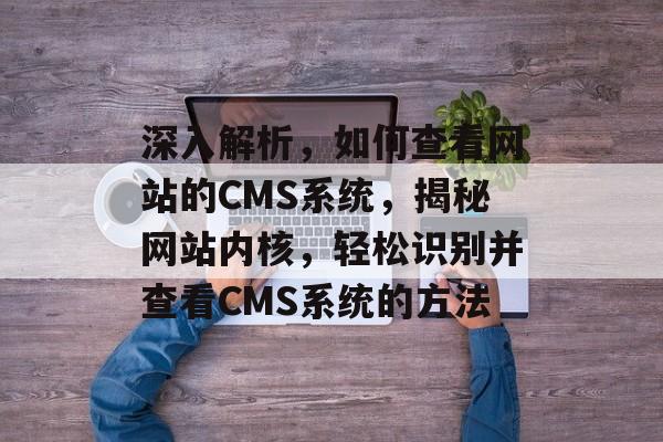 深入解析，如何查看网站的CMS系统，揭秘网站内核，轻松识别并查看CMS系统的方法