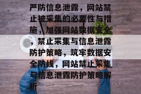 严防信息泄露，网站禁止被采集的必要性与措施，加强网站数据安全，禁止采集与信息泄露防护策略，筑牢数据安全防线，网站禁止采集与信息泄露防护策略解析