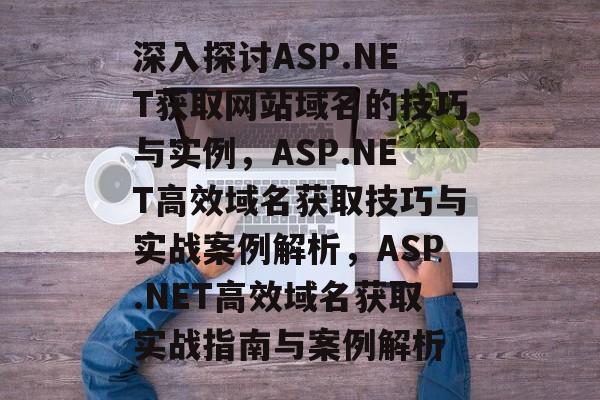深入探讨ASP.NET获取网站域名的技巧与实例，ASP.NET高效域名获取技巧与实战案例解析，ASP.NET高效域名获取实战指南与案例解析