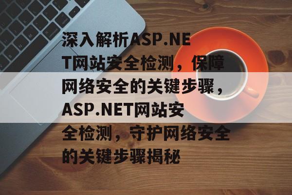 深入解析ASP.NET网站安全检测，保障网络安全的关键步骤，ASP.NET网站安全检测，守护网络安全的关键步骤揭秘