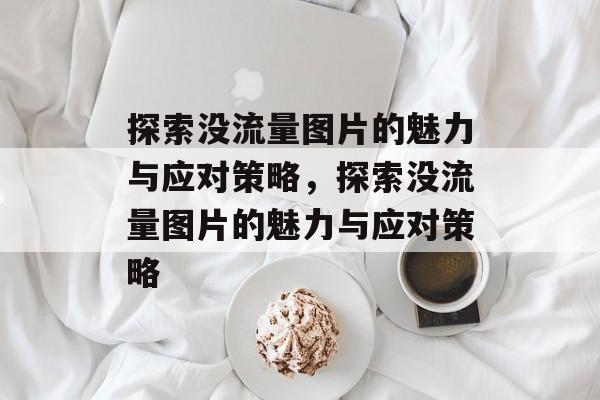 探索没流量图片的魅力与应对策略，探索没流量图片的魅力与应对策略