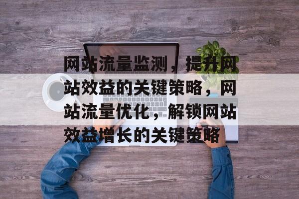 网站流量监测，提升网站效益的关键策略，网站流量优化，解锁网站效益增长的关键策略