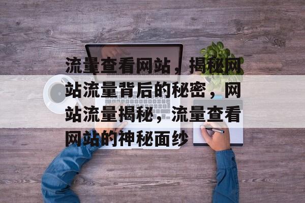 流量查看网站，揭秘网站流量背后的秘密，网站流量揭秘，流量查看网站的神秘面纱