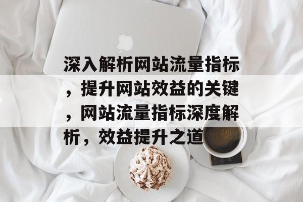 深入解析网站流量指标，提升网站效益的关键，网站流量指标深度解析，效益提升之道