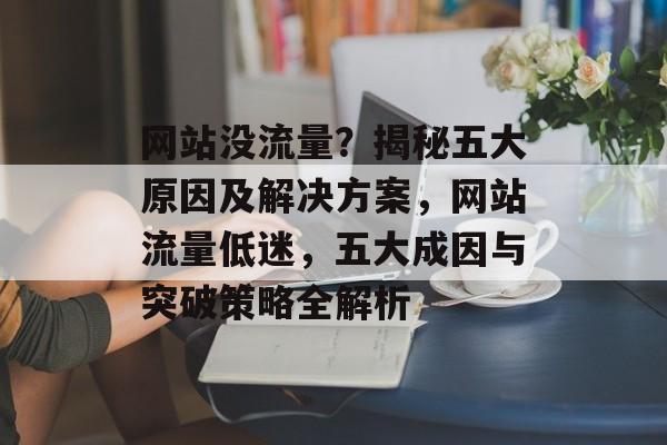 网站没流量？揭秘五大原因及解决方案，网站流量低迷，五大成因与突破策略全解析