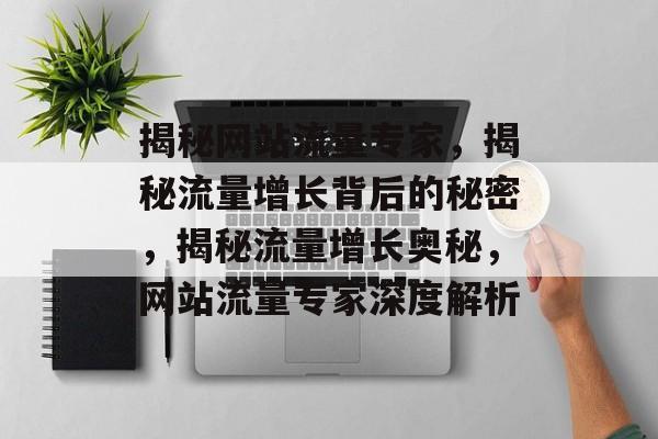 揭秘网站流量专家，揭秘流量增长背后的秘密，揭秘流量增长奥秘，网站流量专家深度解析