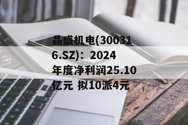 晶盛机电(300316.SZ)：2024年度净利润25.10亿元 拟10派4元
