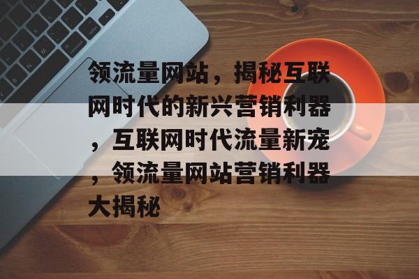 领流量网站，揭秘互联网时代的新兴营销利器，互联网时代流量新宠，领流量网站营销利器大揭秘