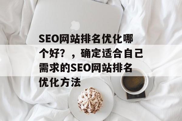 SEO网站排名优化哪个好？，确定适合自己需求的SEO网站排名优化方法