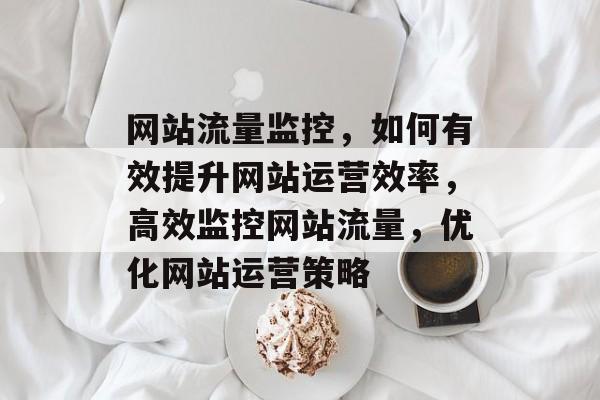 网站流量监控，如何有效提升网站运营效率，高效监控网站流量，优化网站运营策略