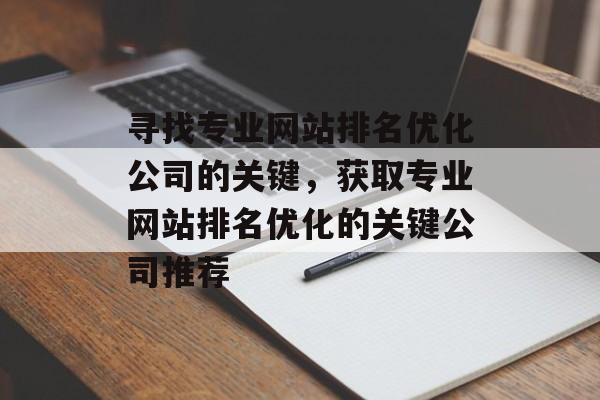 寻找专业网站排名优化公司的关键，获取专业网站排名优化的关键公司推荐
