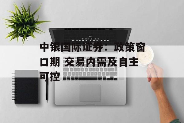 中银国际证券：政策窗口期 交易内需及自主可控