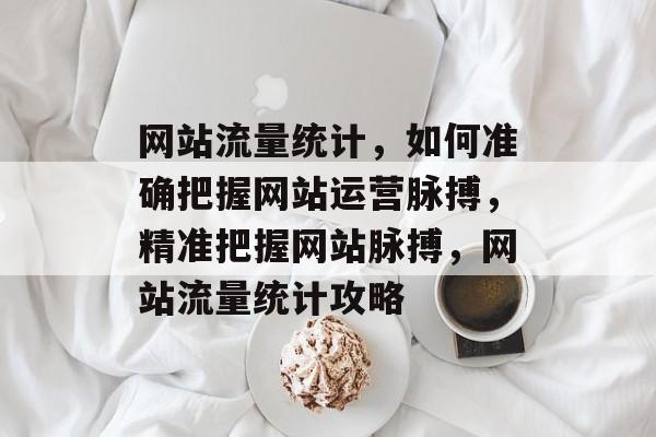 网站流量统计，如何准确把握网站运营脉搏，精准把握网站脉搏，网站流量统计攻略