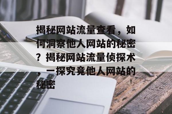 揭秘网站流量查看，如何洞察他人网站的秘密？揭秘网站流量侦探术，一探究竟他人网站的秘密