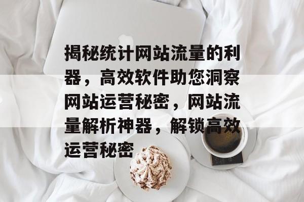 揭秘统计网站流量的利器，高效软件助您洞察网站运营秘密，网站流量解析神器，解锁高效运营秘密