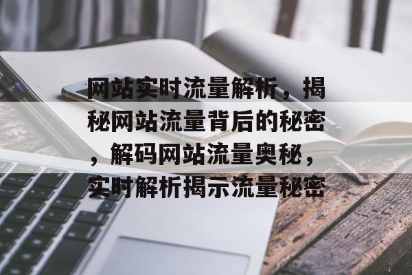 网站实时流量解析，揭秘网站流量背后的秘密，解码网站流量奥秘，实时解析揭示流量秘密