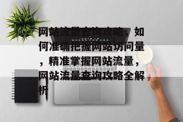 网站流量查询攻略，如何准确把握网站访问量，精准掌握网站流量，网站流量查询攻略全解析
