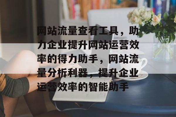 网站流量查看工具，助力企业提升网站运营效率的得力助手，网站流量分析利器，提升企业运营效率的智能助手