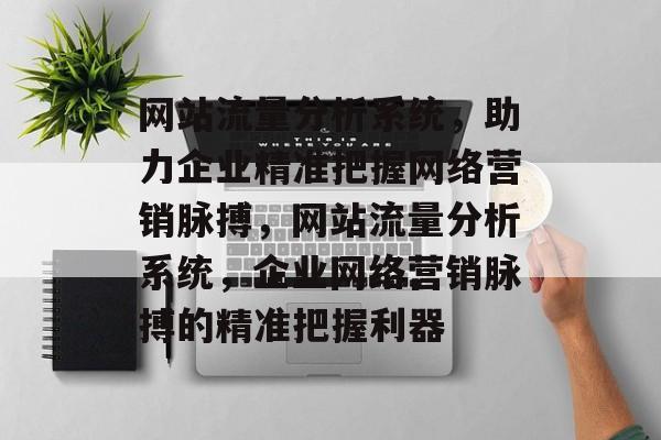 网站流量分析系统，助力企业精准把握网络营销脉搏，网站流量分析系统，企业网络营销脉搏的精准把握利器