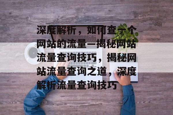 深度解析，如何查一个网站的流量—揭秘网站流量查询技巧，揭秘网站流量查询之道，深度解析流量查询技巧