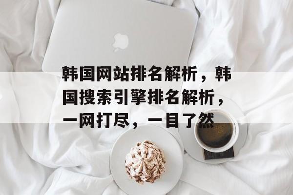 韩国网站排名解析，韩国搜索引擎排名解析，一网打尽，一目了然