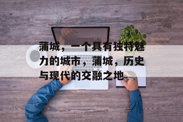 蒲城，一个具有独特魅力的城市，蒲城，历史与现代的交融之地