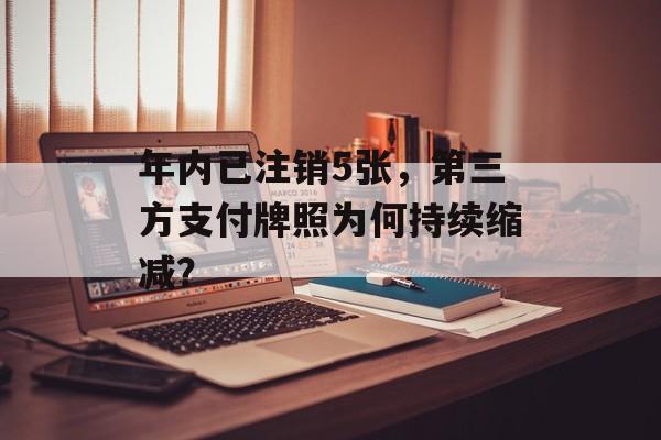 年内已注销5张，第三方支付牌照为何持续缩减？