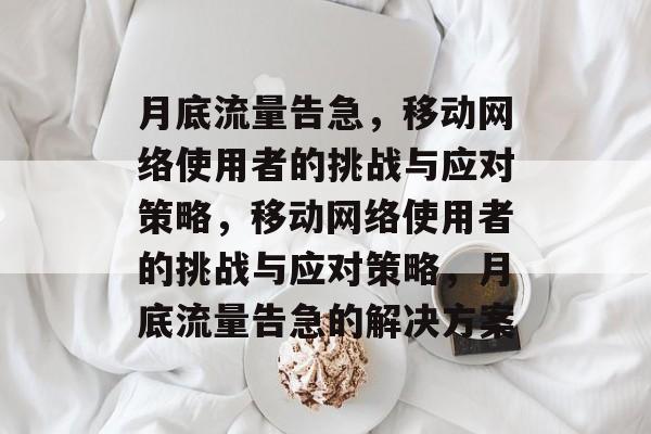 月底流量告急，移动网络使用者的挑战与应对策略，移动网络使用者的挑战与应对策略，月底流量告急的解决方案