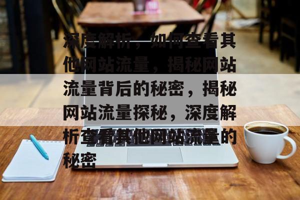 深度解析，如何查看其他网站流量，揭秘网站流量背后的秘密，揭秘网站流量探秘，深度解析查看其他网站流量的秘密