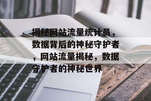 揭秘网站流量统计员，数据背后的神秘守护者，网站流量揭秘，数据守护者的神秘世界