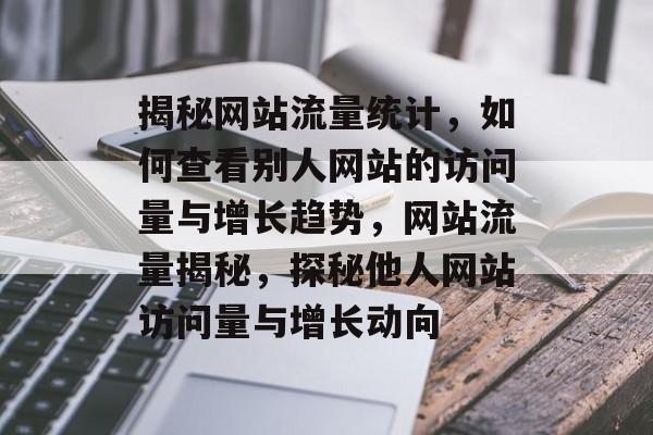 揭秘网站流量统计，如何查看别人网站的访问量与增长趋势，网站流量揭秘，探秘他人网站访问量与增长动向
