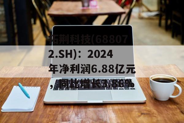 拓荆科技(688072.SH)：2024年净利润6.88亿元，同比增长3.86%