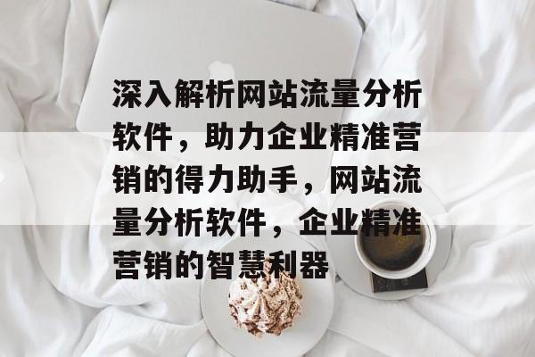 深入解析网站流量分析软件，助力企业精准营销的得力助手，网站流量分析软件，企业精准营销的智慧利器