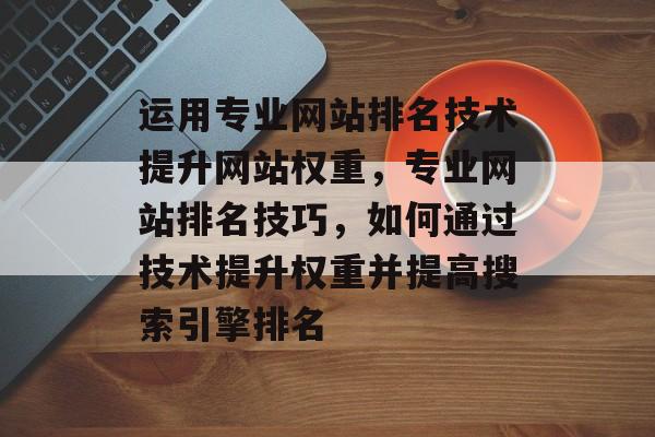 运用专业网站排名技术提升网站权重，专业网站排名技巧，如何通过技术提升权重并提高搜索引擎排名