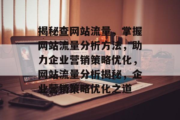 揭秘查网站流量，掌握网站流量分析方法，助力企业营销策略优化，网站流量分析揭秘，企业营销策略优化之道