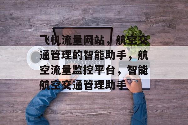 飞机流量网站，航空交通管理的智能助手，航空流量监控平台，智能航空交通管理助手