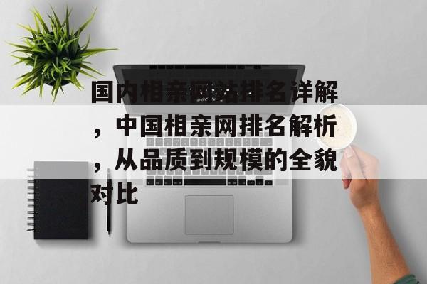 国内相亲网站排名详解，中国相亲网排名解析，从品质到规模的全貌对比