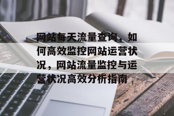 网站每天流量查询，如何高效监控网站运营状况，网站流量监控与运营状况高效分析指南