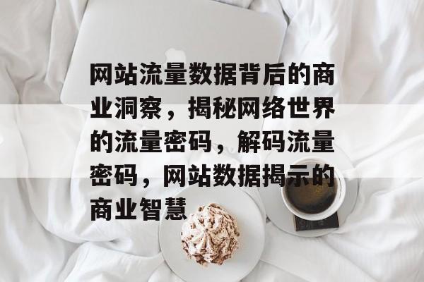 网站流量数据背后的商业洞察，揭秘网络世界的流量密码，解码流量密码，网站数据揭示的商业智慧