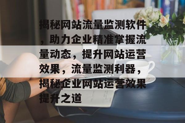 揭秘网站流量监测软件，助力企业精准掌握流量动态，提升网站运营效果，流量监测利器，揭秘企业网站运营效果提升之道